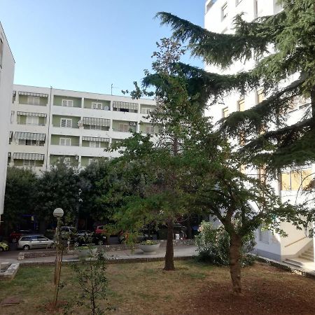 Petra Apartment Zadar Dış mekan fotoğraf