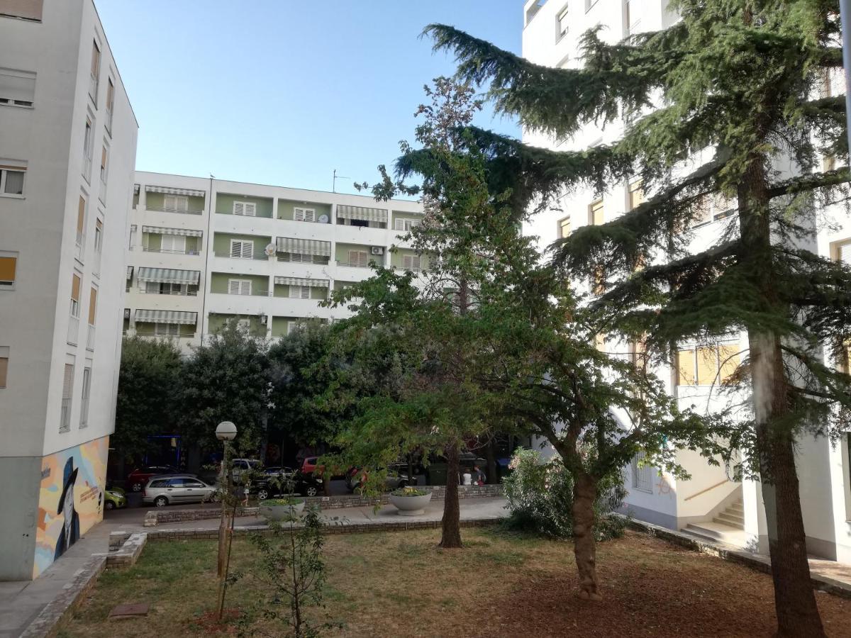Petra Apartment Zadar Dış mekan fotoğraf